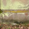 Grab von Moses Wiesenfelder